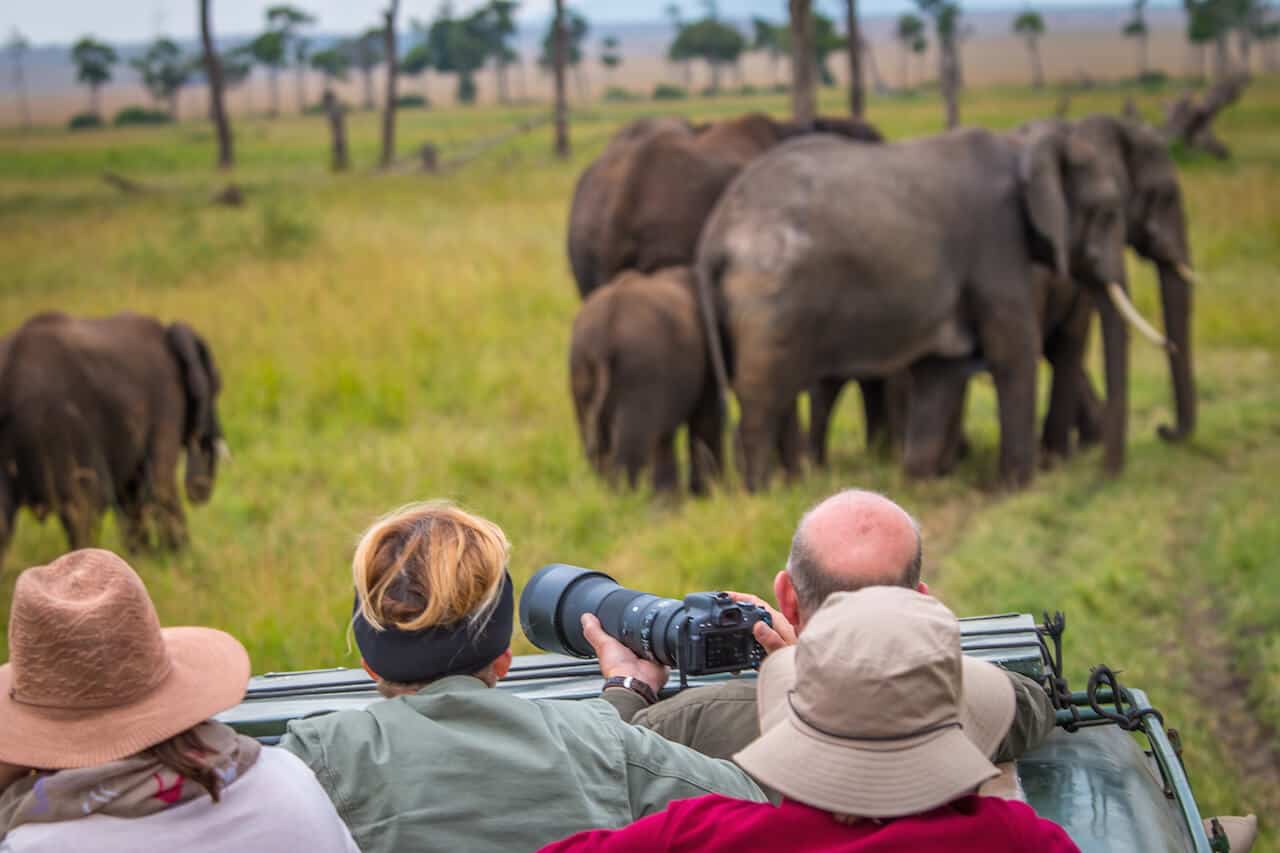 Game Drive in Kenya