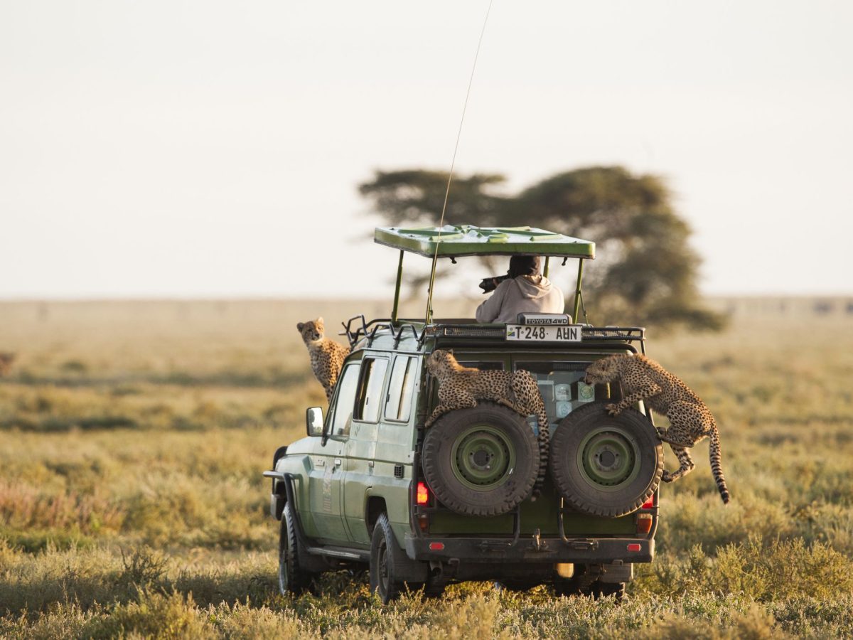 7 Days Kenya Tanzania Safari