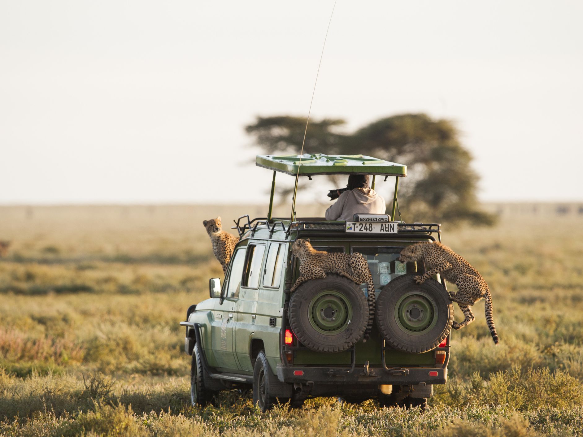 7 Days Kenya Tanzania Safari