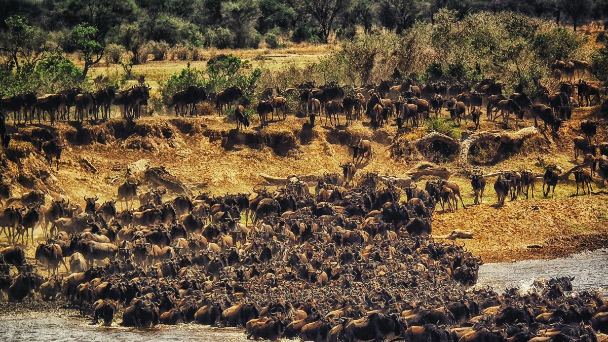 5 Day Kenya Beautiful Road Trip