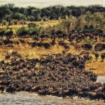 5 Day Kenya Beautiful Road Trip