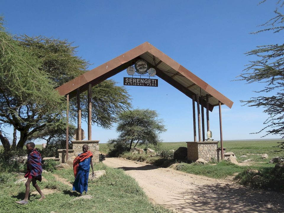 Top 7 reasons for visiting Tanzania