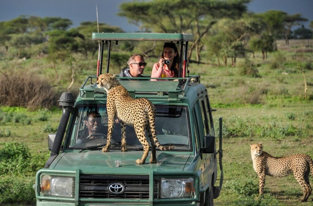 Best Months for African safaris