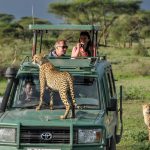 Best Months for African safaris