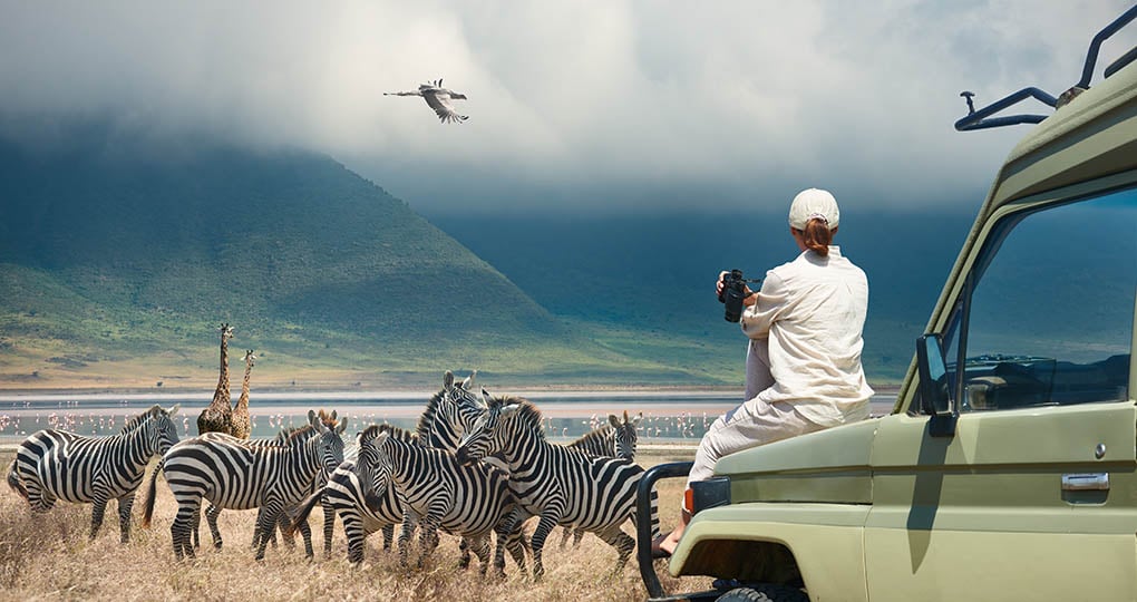 8 Days Kenya Tanzania Safari
