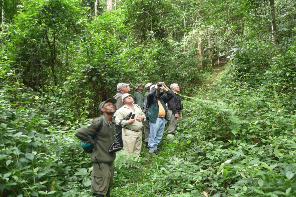 20 Days Birding Across Uganda