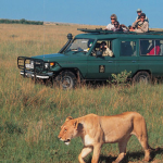 Tanzania Safari Cost