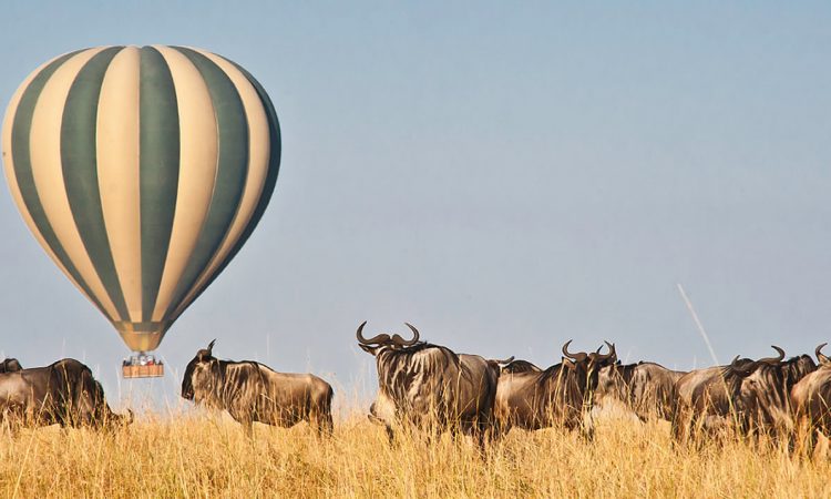 8 Days Kenya Tanzania Safari