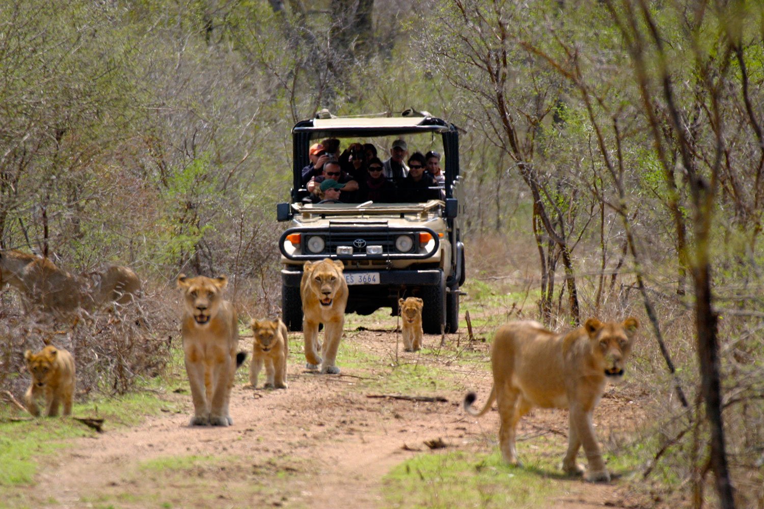 Botswana Safari Tours & Holidays