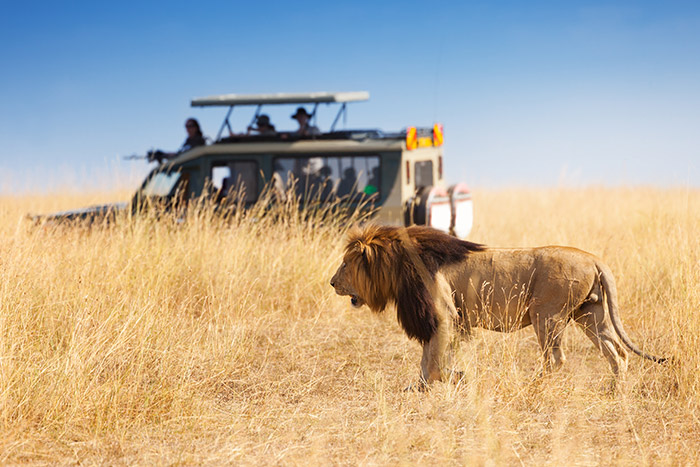 Botswana Safari Tours & Holidays