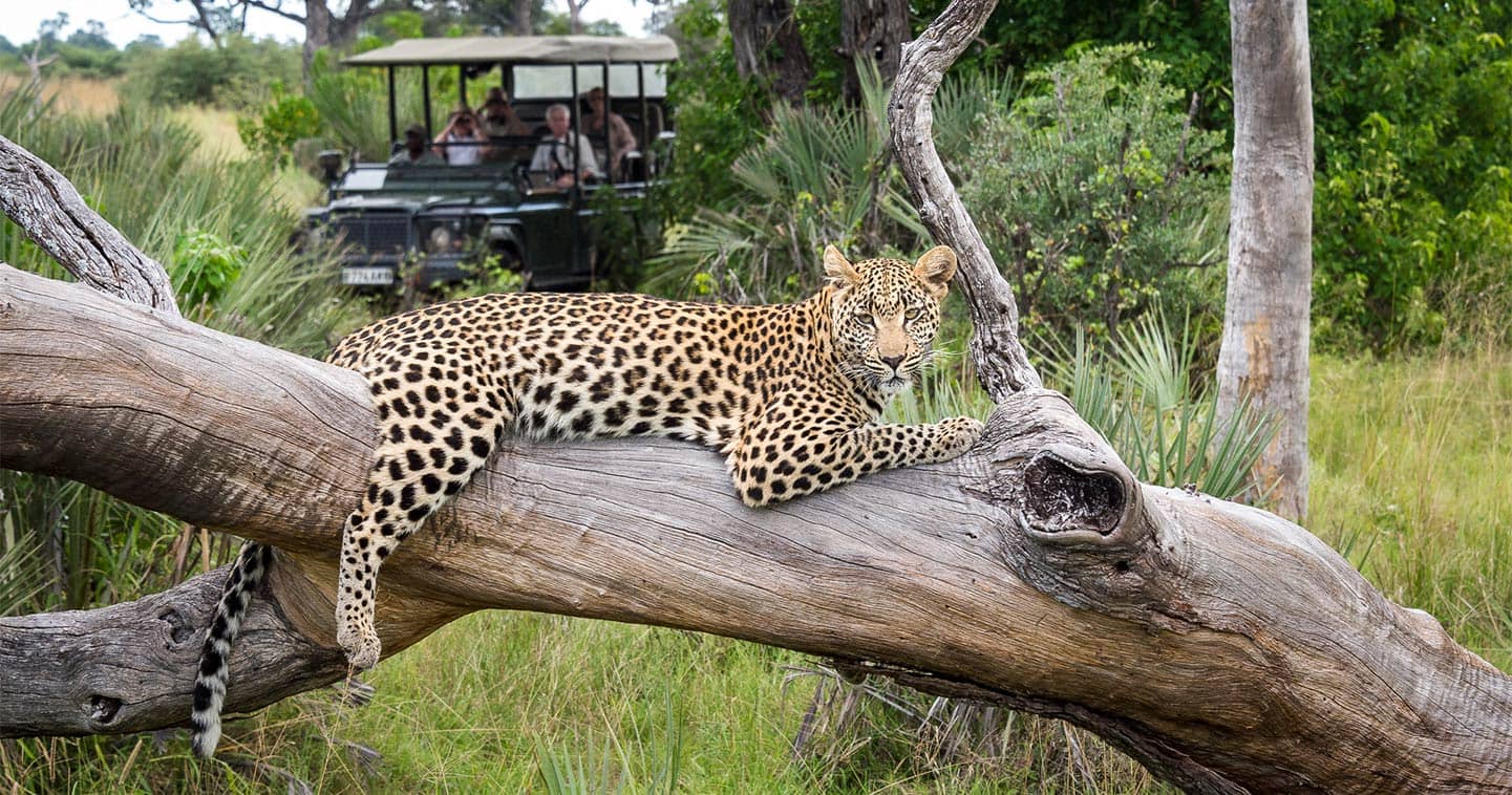 8 Days Best Botswana and Serengeti