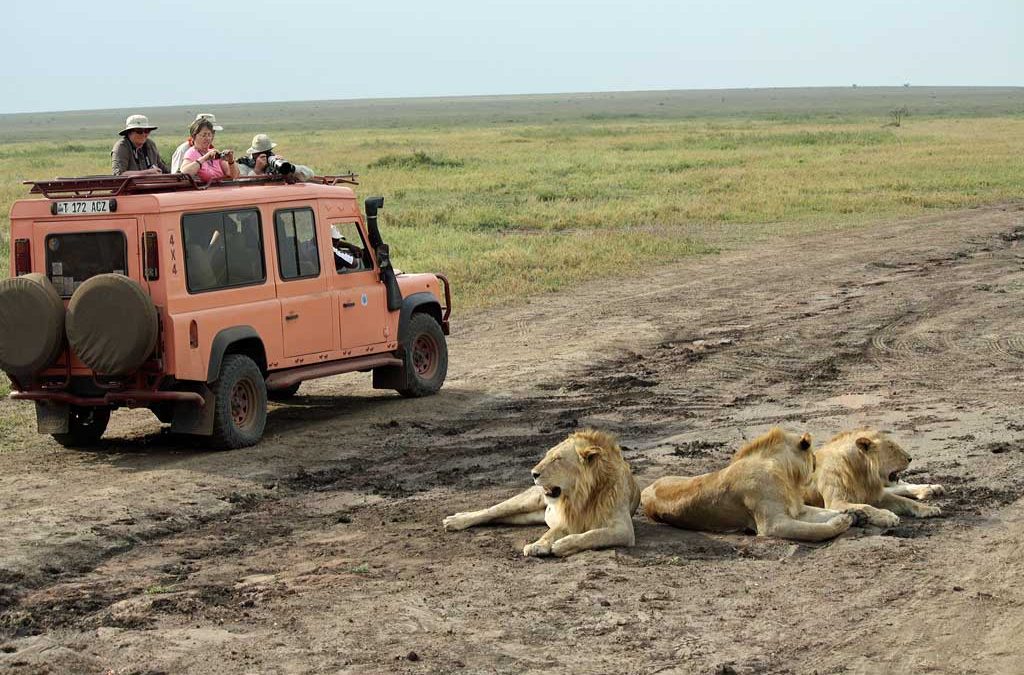 6-Day Majestic Tanzania