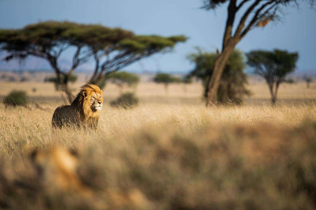 4-Day Touch of Wilderness – Luxury