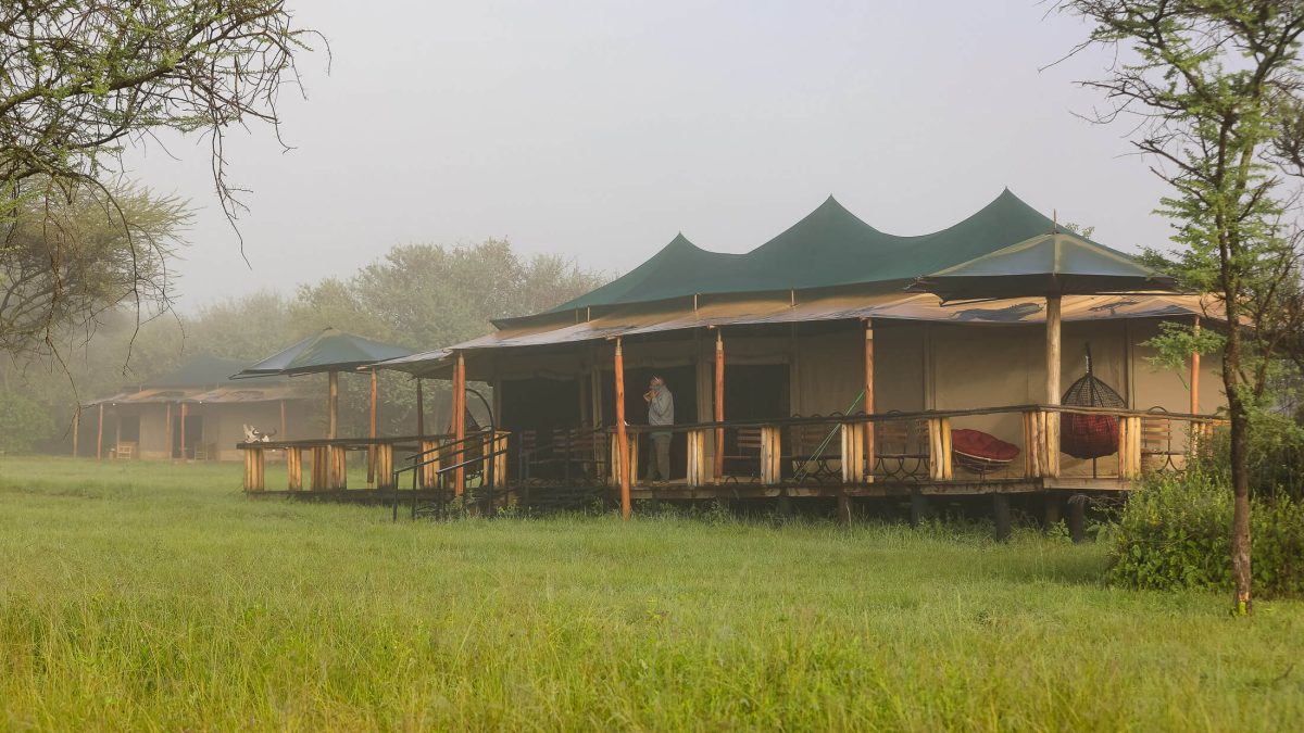 Are Safari Lodges Comfortable