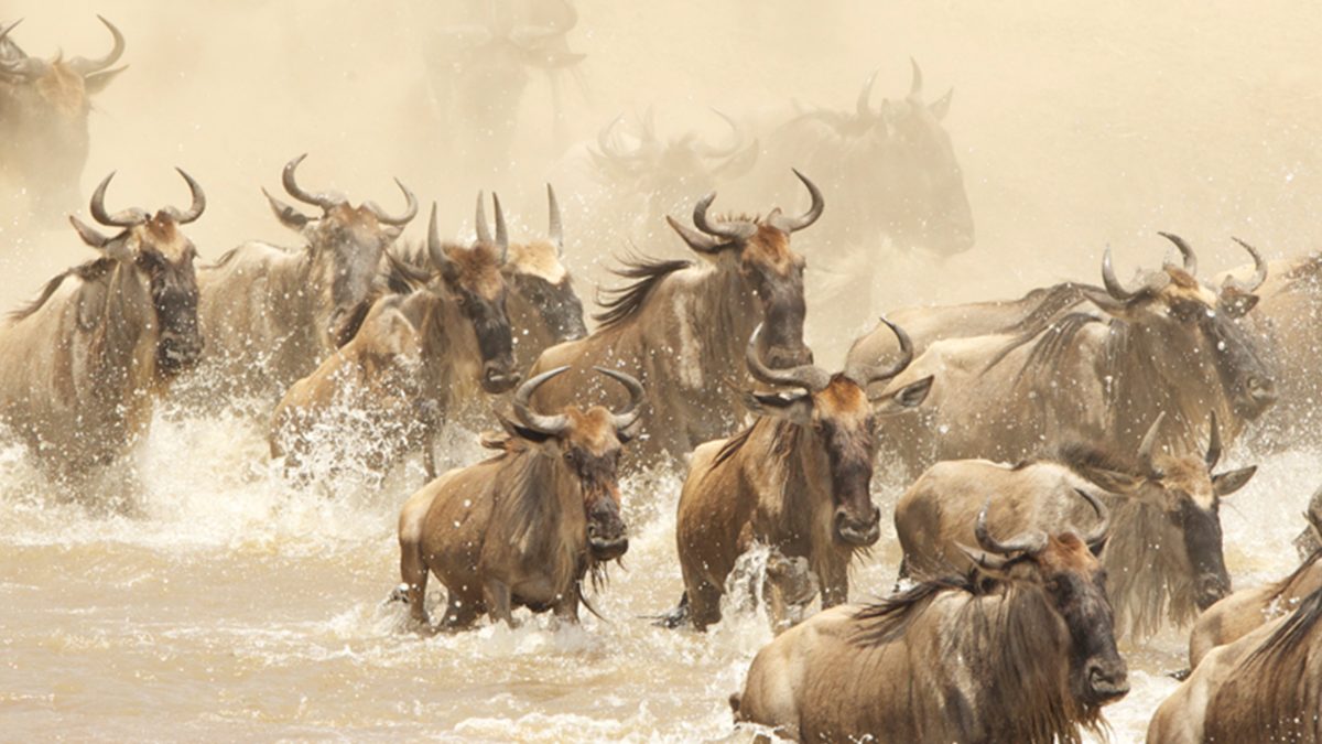 Top 7 reasons for visiting Tanzania