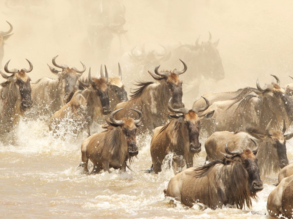 Top 7 reasons for visiting Tanzania