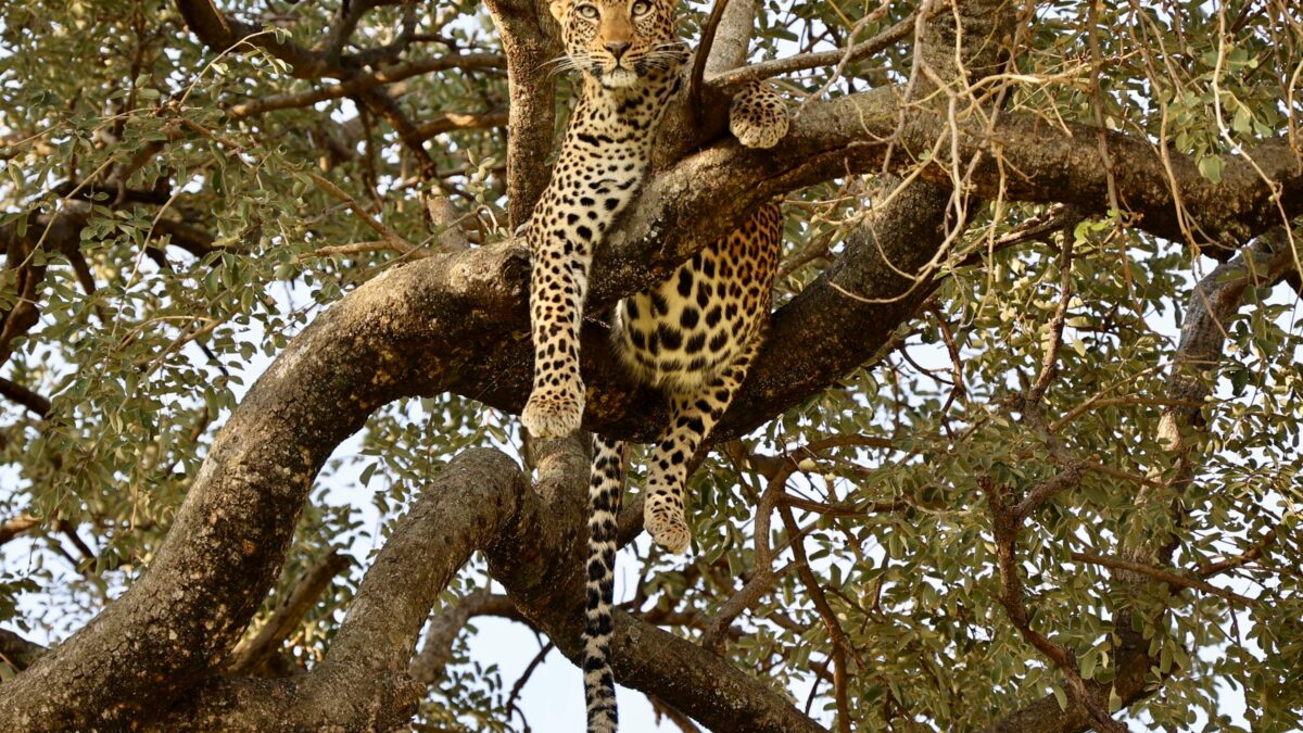 9-Day Tanzania Adventure Safari