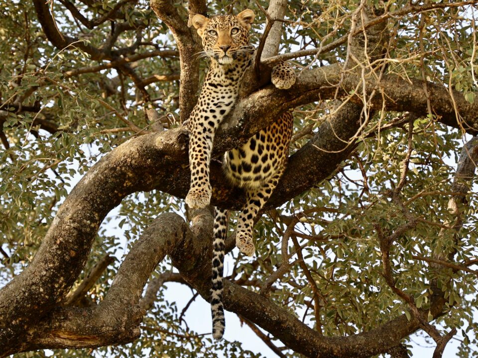 9-Day Tanzania Adventure Safari