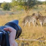 Can I Take Photos During a Game Drive