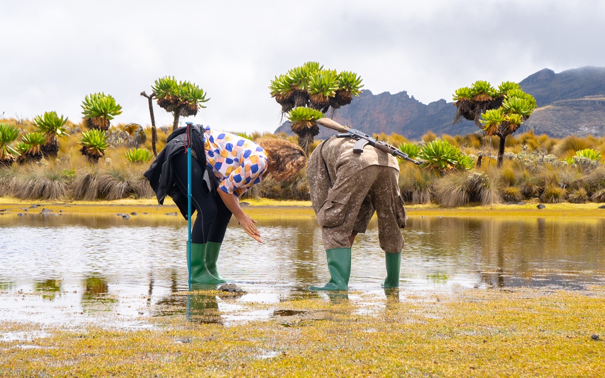 Mount Elgon National Park