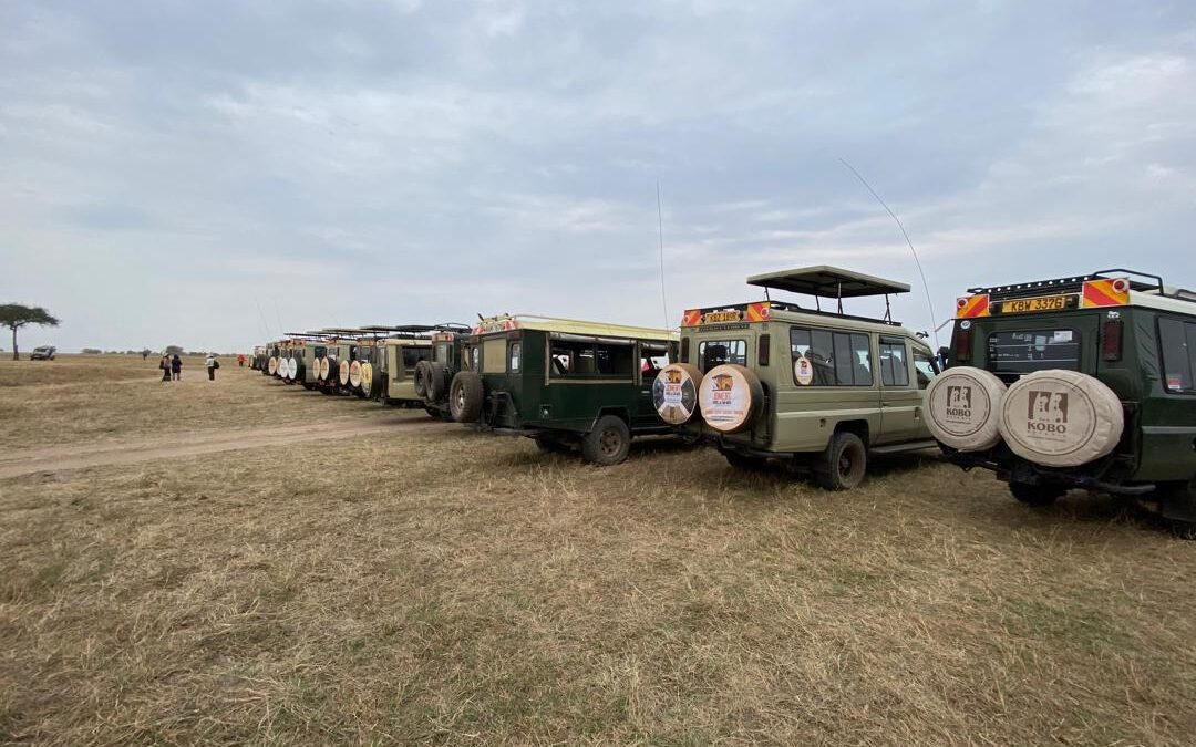 How Close Do Vehicles Get to Wild Animals