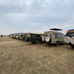 How Close Do Vehicles Get to Wild Animals