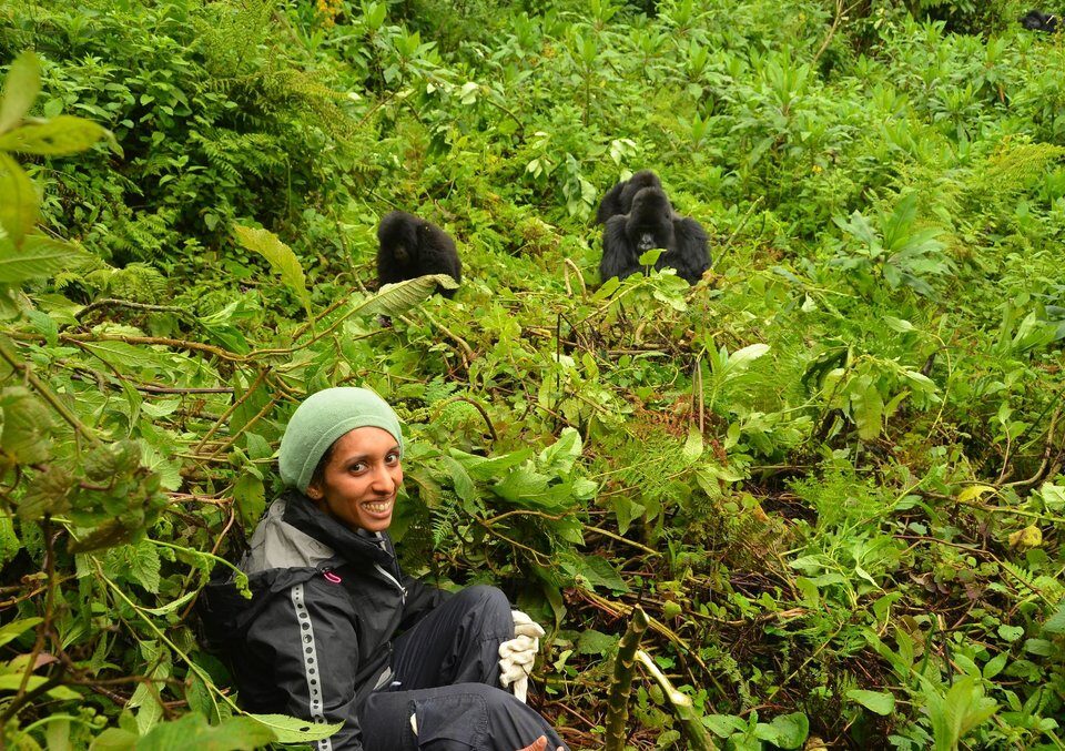 Gorilla Trekking from Botswana