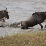 When Does the Great Migration Occur