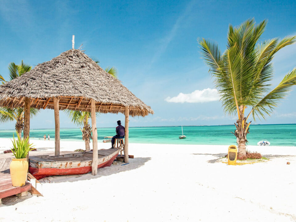 10-Day Tanzania Wildlife Safari