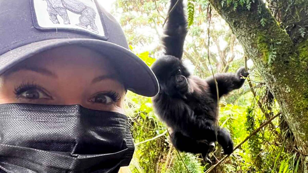 10 Days Uganda Safari Experience