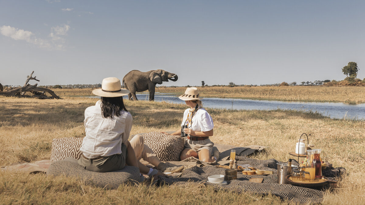 When to Visit East Africa for a Safari