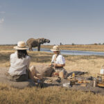 When to Visit East Africa for a Safari