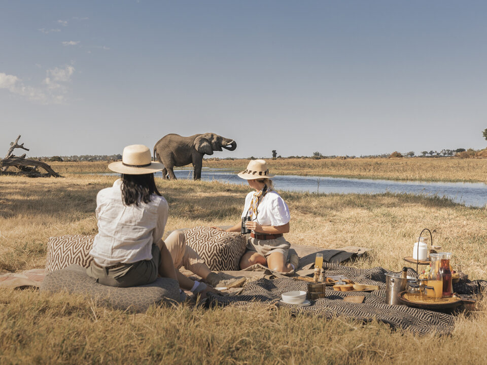 When to Visit East Africa for a Safari