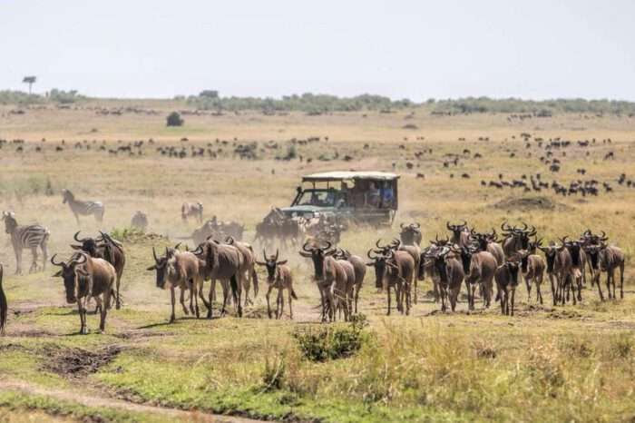 12 Days Kenya Conservation Experience