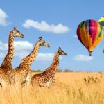 Where Can I Do Hot Air Balloon Safaris in Kenya