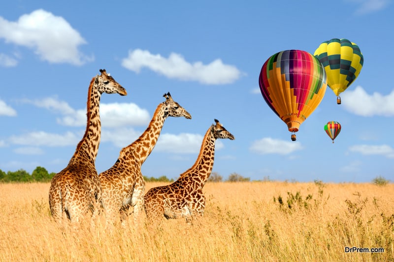 Where Can I Do Hot Air Balloon Safaris in Kenya