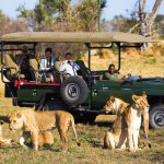 Best time to visit Botswana and Victoria Falls