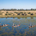12-Day Botswana & Rwanda Safari