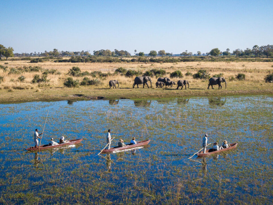 12-Day Botswana & Rwanda Safari