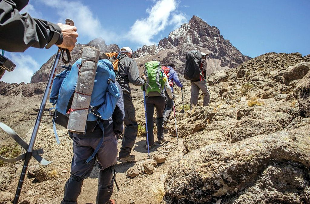 Hiking Safaris in Mount Kilimanjaro