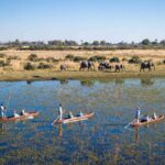 8 Days Kenya Botswana Wildlife Safari