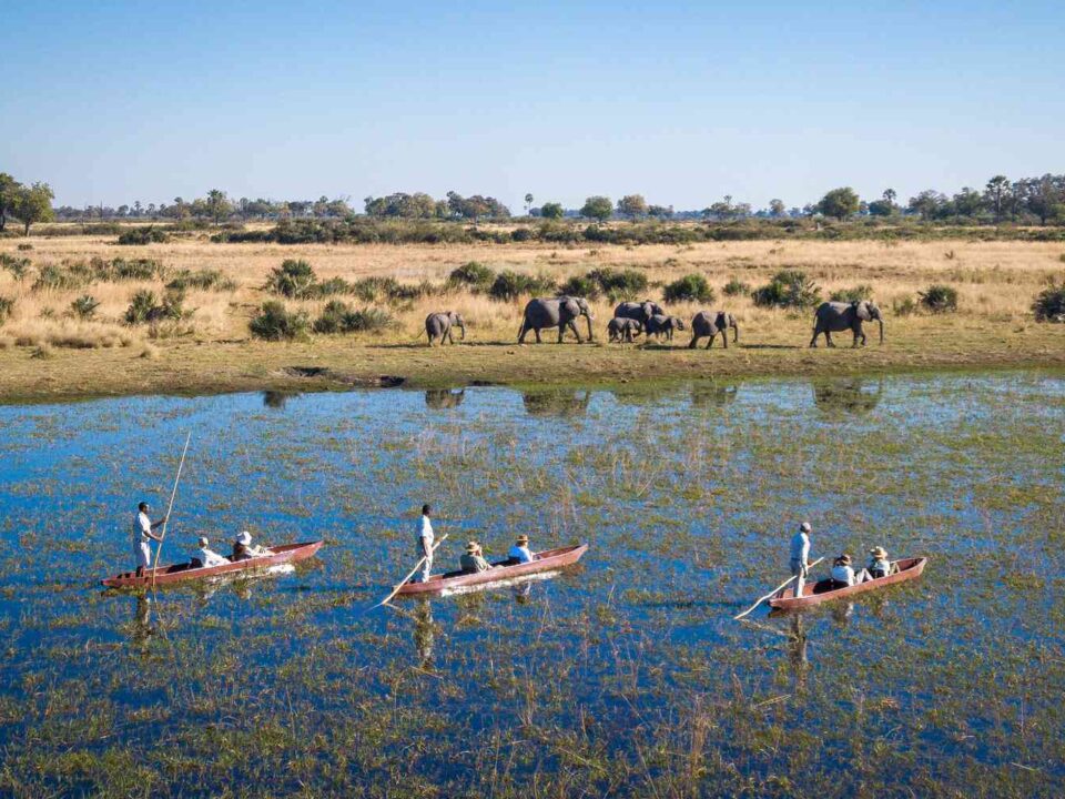 8 Days Kenya Botswana Wildlife Safari
