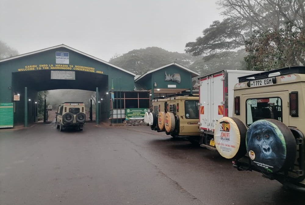 Tanzania Safari Holidays