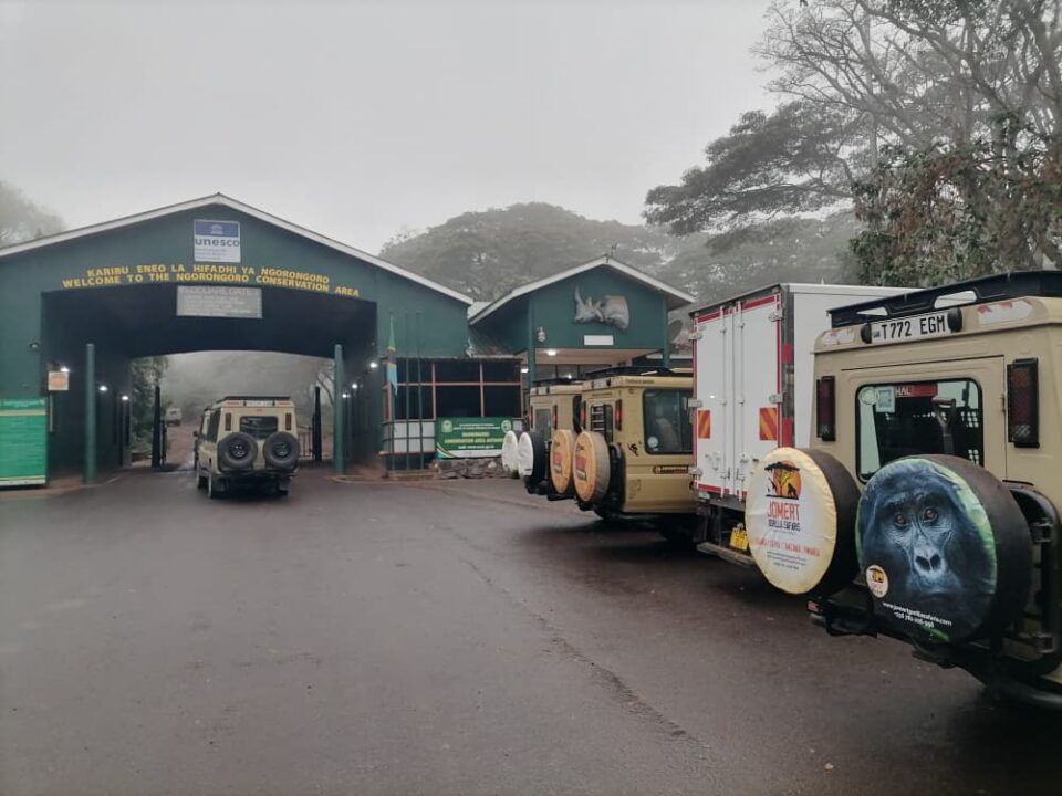 Tanzania Safari Holidays