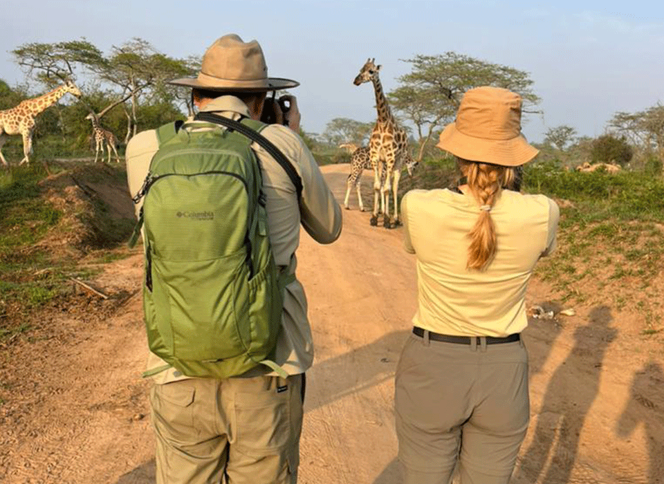 Can I Do a Walking Safari in Lake Mburo