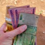 What Currency is Used in Uganda and Kenya