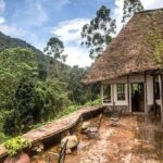 Clouds Mountain Gorilla Lodge