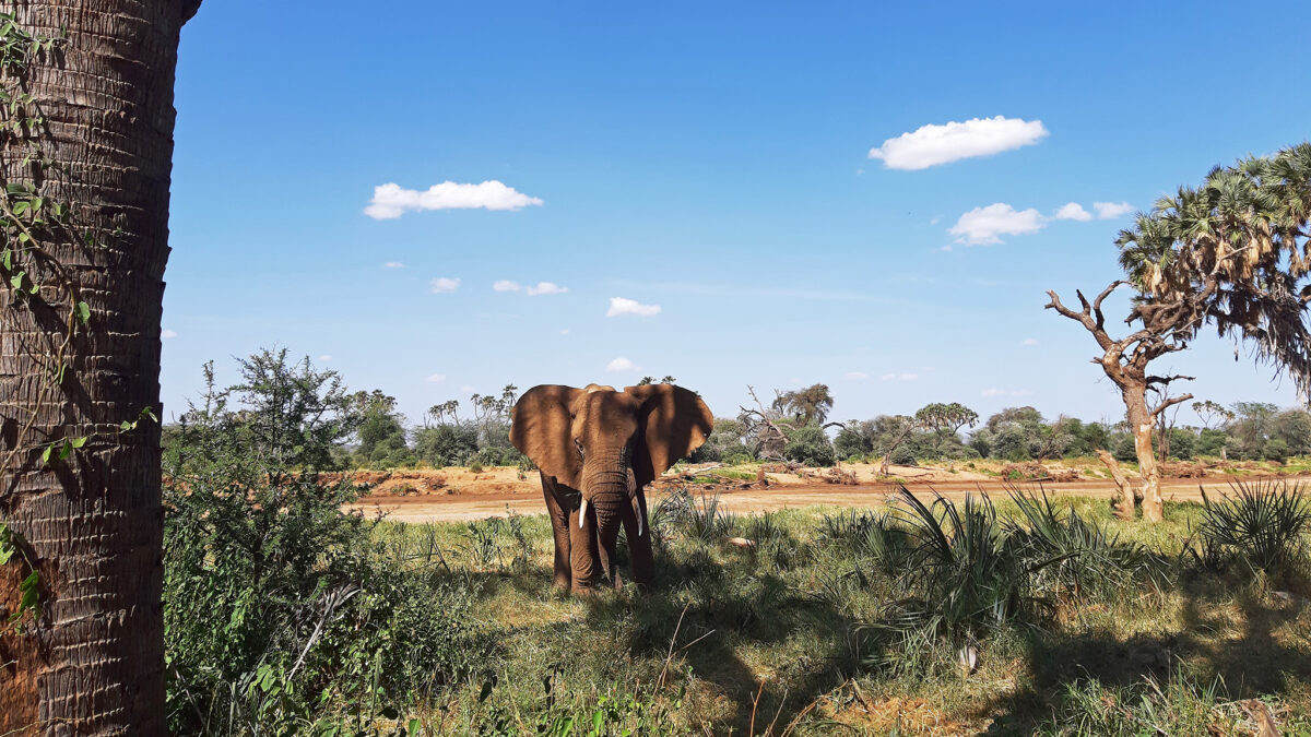 How many days do you need in Murchison falls