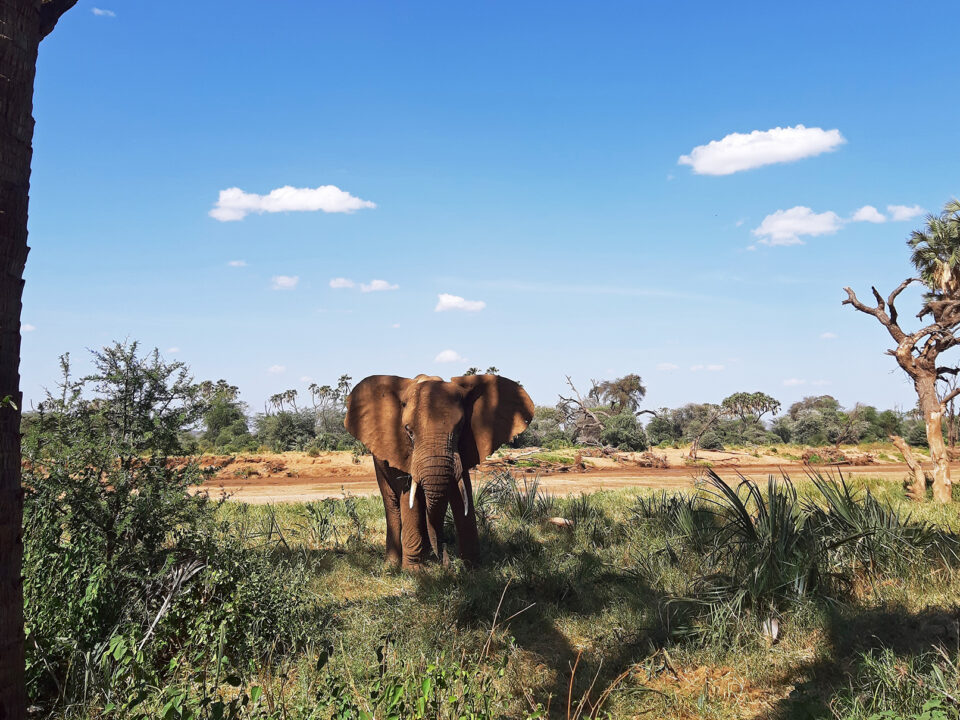 How many days do you need in Murchison falls