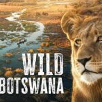 9-Day Botswana & Uganda Safari